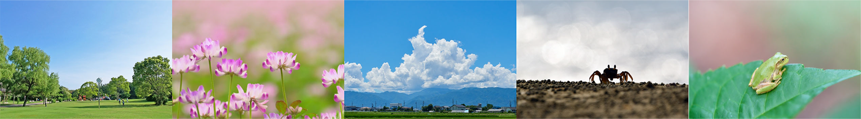 自然イメージ